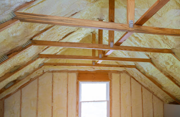 Best Home Insulation Services  in Kirbyville, TX