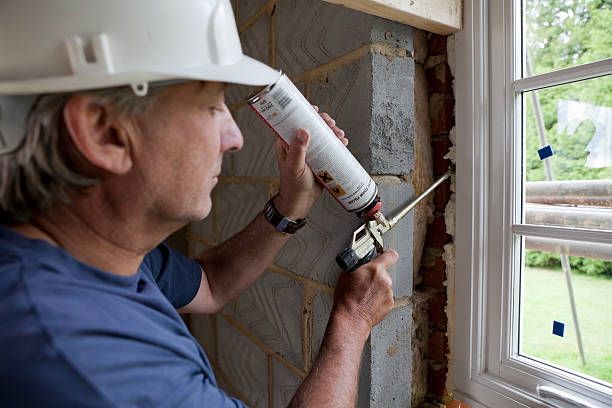 Best Insulation Inspection Services  in Kirbyville, TX