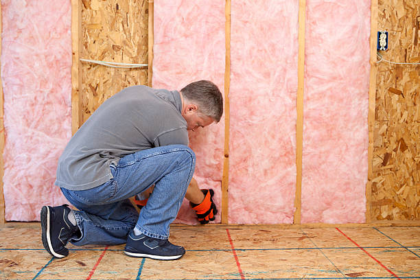 Best Insulation Replacement Services  in Kirbyville, TX