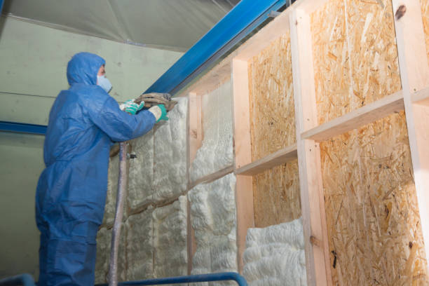 Best Spray Foam Insulation  in Kirbyville, TX