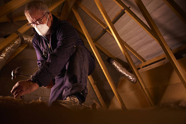 Best Insulation Repair Services  in Kirbyville, TX