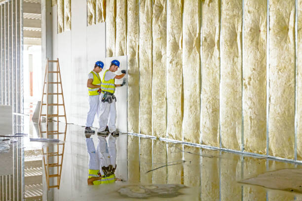 Best Insulation Contractor Near Me  in Kirbyville, TX